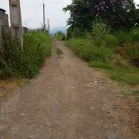 مزرعه برنج ۱۶۰۰متری نزدیک جاده