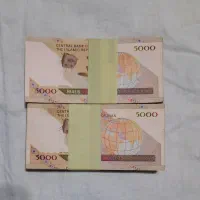 اسکناس های کم پیدا