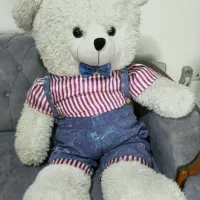 خرس بزرگ نو