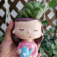 انواع گلدان فانتزی و گل آپارتمانی|گل و گیاه طبیعی|کرمان, |دیوار