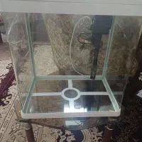 اکواریم