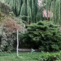 ملاک تجاری مسکونی نبش جاده شهرک فرهنگیان|فروش مغازه و غرفه|بجنورد, |دیوار