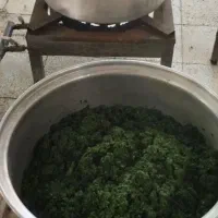 سبزی نیشابور