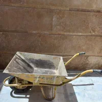 فرغون تمیزوسالم در حدنو