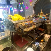 یخچال ایستاده، شو کیک چهار طبقه، دستگاه اسپرسو|کافی‌شاپ و رستوران|کرج, گوهردشت|دیوار