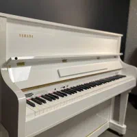 فروش تمامی ساز موسیقی ، با مناسب ترین قیمت|گیتار، بیس، امپلیفایر|تبریز, |دیوار