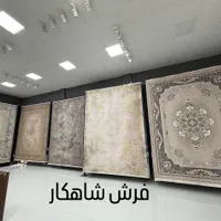 فرش خلیج فارس ۱۲۰۰شانه نخ مخمل تاپس|فرش|شیراز, شهرک سراج‎|دیوار