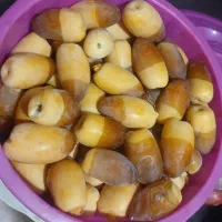 رطب شهابی