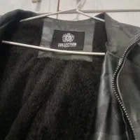 کاپشن|لباس|اردبیل, |دیوار