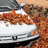 راهنمایی میخوام