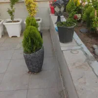 باغبانی در پردیس کرشت رودهن مهراباد|خدمات باغبانی و درختکاری|پردیس, فاز ۸|دیوار