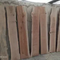 اسلب چوب چنار