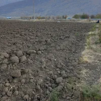 زمین کشاورزی