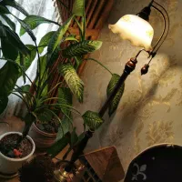 آباژور و چراغ خواب کلاسیک