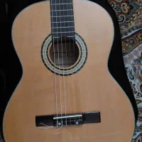 گیتار بست فان