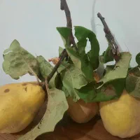 به تازه