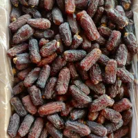 پخش عمده خرمای پیارم و خاصویی