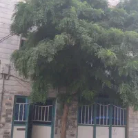 ساختمان-دوطبقه-سه-واحدی