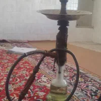 قلیان دوسیب نخل دوساله