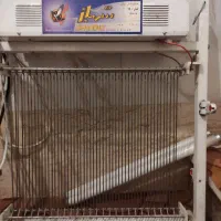 حشره کش برقی شهباز