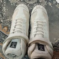 کفش کشتی آمریکایی