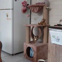 درخت بازی گربه- ۱۱۶×۴۰ (ارتفاع و پهنا)|لوازم جانبی حیوانات|تهران, قیطریه|دیوار