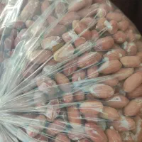 بادام زمینی درجه یک ۳۳۰و درجه دو ۲۶۰|خوردنی و آشامیدنی|اسلامشهر, مظفریه|دیوار