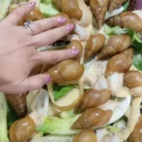 حلزون های ارایشی و پرورشی