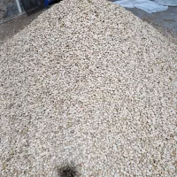 بادام|خوردنی و آشامیدنی|سامان, |دیوار