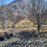 تهران فیروزکوه زمین کشاورزی وباغ|فروش زمین و ملک کلنگی|فیروزکوه, |دیوار