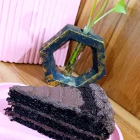 انواع کوکی موچی شیرینی کیک های کافه ای و تولد|خوردنی و آشامیدنی|کرمان, |دیوار