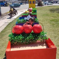 یک قطعه زمین مسکونی