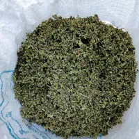 آویشن امساله