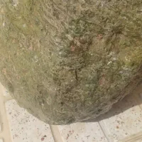شهاب سنگ بزرگ اعددسبز