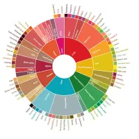 تولید و فروش قهوه تخصصی ، خرد و عمده ، دان سبز|کافیشاپ و رستوران|تهران, تهرانپارس جنوبی|دیوار