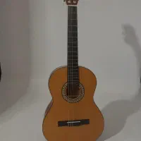 گیتار اکوستیک|گیتار، بیس، امپلیفایر|گنبد کاووس, |دیوار