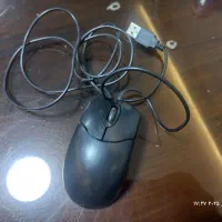 موس و کیبورد|قطعات و لوازم جانبی رایانه|همدان, |دیوار