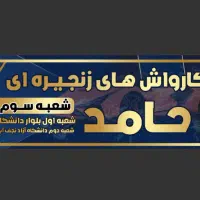 کارواش کار حرفه ای