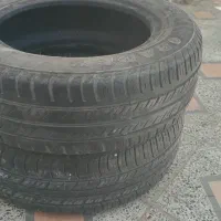 دوحلقه لاستیک 14