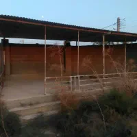 اجاره زمین ۷۰۰ متری دیوارکشی شده با امکانات|اجارهٔ دفتر صنعتی، کشاورزی، تجاری|چغادک, |دیوار