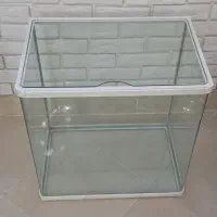 اکواریوم شیشه خم ۵۶×۳۵×۵۵|ماهی|قم, پردیسان|دیوار