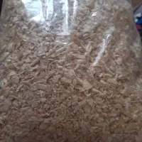 پوشال عروس هلندی