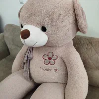 خرس بزرگ|اسباب‌‌بازی|زنجان, |دیوار