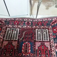 قالی کارکرده دست بافت|فرش|شاهین‌شهر, سعدی شمالی|دیوار