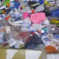 خریدکارتون