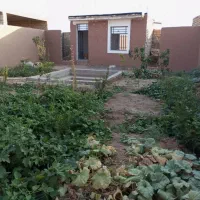 فروش خانه باغ نگارستان راوند