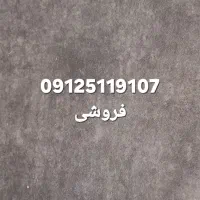 09125119107