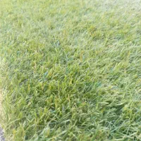 یه رول چمن مصنوعی