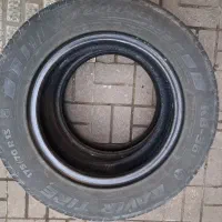 لاستیک خودرو|قطعات یدکی و لوازم جانبی|رشت, گلباغ نماز|دیوار