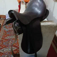 زین اسب|اسب و تجهیزات اسبسواری|تبریز, |دیوار